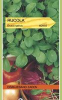 Rucola