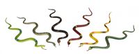 5x enge beestjes plastic slangen van 35 cm   -