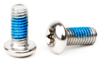 Elvedes Remschijfboutjes m5 × 11 rvs (10 stuks)