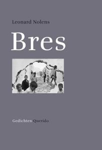 Bres (Paperback)