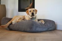 Dog's Companion® Hondenbed muisgrijs giant ribcord superlarge