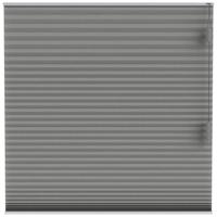 Leen Bakker - Fenstr Plisségordijn Boston Dubbel 25mm Lichtdoorlatend - Donker (20513) - Polyester - Grijs - 120x10x10 Cm