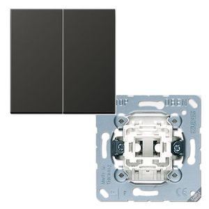 Jung LS990 serieschakelaar met drukknop antraciet