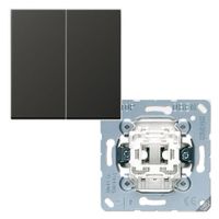 Jung LS990 serieschakelaar met drukknop antraciet