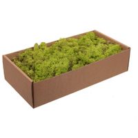 Decoratie/hobby mos - lichtgroen - 500 gram