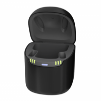 Audio Service R Li DryClean Charger