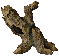 Superfish deco tree l - Superfish