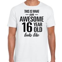 Awesome 16 year / 16 jaar cadeau t-shirt wit heren