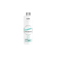 Wasgeluk Wasparfum Caribe 250ml