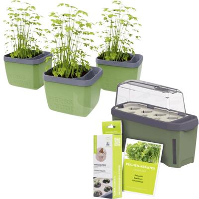 Gusta Garden W07071 Plantcontainer