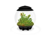 BiOrb Air 30 zwart BiOrb Air 30 zwart