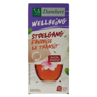 Tea time stoelgangthee 20 Zakjes