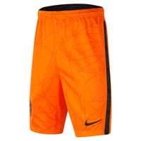 Nike Nederland EK 2021 Junior Thuisshort - thumbnail