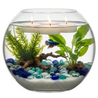 Hakbijl Glass bloemenvaas/terrarium bolvormig - D30 x H23 cm - glas - 6L - transparant