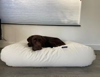 Dog's Companion® Hondenbed ivory leather look superlarge