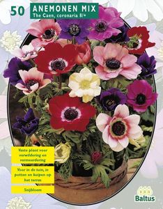 Zomer Bloembollen Anemone de Caen, Mix per 30 - Baltus