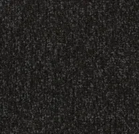 Coral Classic 4730 Raven Black 155 cm breed Coral Classic 4730 Raven Black 155 cm breed