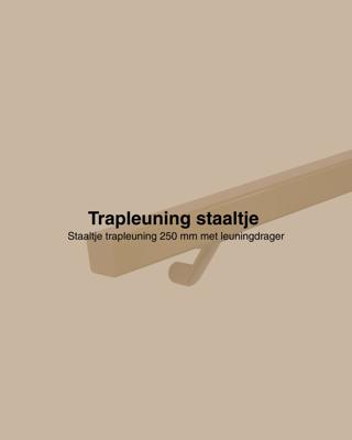 Staaltje trapleuning vierkant 40x40mm goud