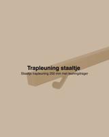 Staaltje trapleuning vierkant 40x40mm goud