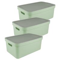 Sunware opbergbox Sigma Home met deksel - 3x - kunststof - 45 liter - lichtgroen