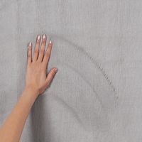 Karpet24 Modern Bont tapijt Lina Grijs-80 x 150 cm