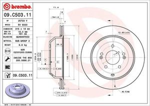 Remschijf 09C50311