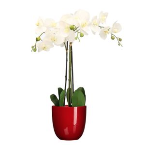 Orchidee kunstplant wit - 75 cm - inclusief bloempot rood glans