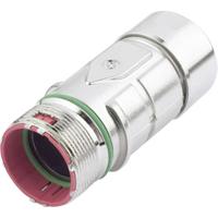 EPIC Signal M23 F6 Kabelconnector-bus 72064230 72064230 Rood LAPP Inhoud: 5 stuk(s)