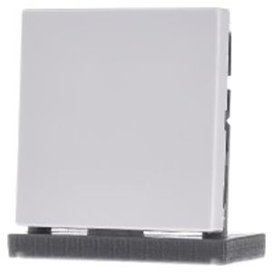 LS 994 B WW  - Cover plate for Blind plate white LS 994 B WW