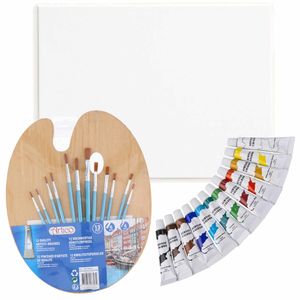 Complete hobby schilderij maken verf set met canvas schildersdoek