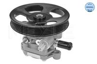 Servo pomp 32146310004