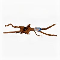 Superfish Spiderwood X-Large - Veelzijdige Azaleawortel Decoratie voor Aquaria, Goudbruin