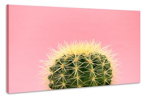 Karo-art Schilderij - Cactus Roze achtergrond, 100x70cm. Premium print