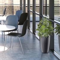 Schefflera kunstplant 50cm - UV bestendig