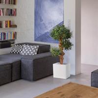 Olijf Bonsai kunstboom op voet 90cm