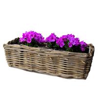 Balkonmand - rotan gevlochten -46 x 19 x 15 cm - bloemen/planten - schuttingmand -hangmand Balkonmand - rotan gevlochten -46 x 19 x 15 cm - bloemen/planten - schuttingmand -hangmand