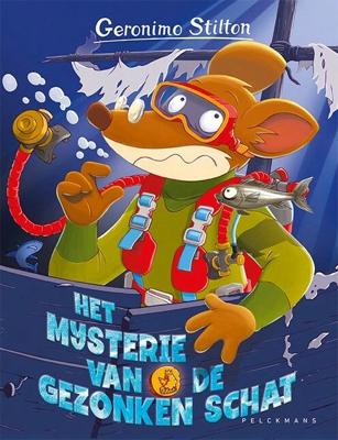 Het mysterie van de gezonken schat (Hardback)