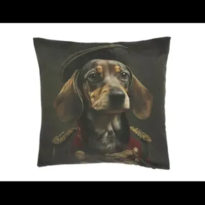 Kussen milo 45x45cm dessin 2