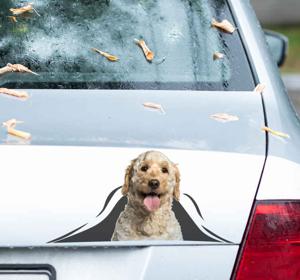 Labradoodle 3D autosticker