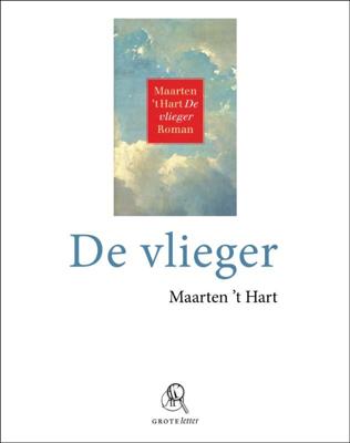 De vlieger (Paperback)