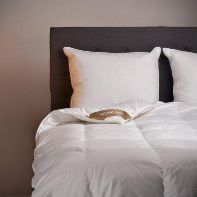 Dekbed 100% Ganzendons All Season - Enkel , All season - 200x200 cm (Tweepersoons) - Natural Goose - 500 gram - Dekbed-Discounter.nl