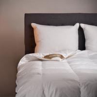 Dekbed 100% Ganzendons All Season - Enkel , All season - 200x200 cm (Tweepersoons) - Natural Goose - 500 gram - Dekbed-Discounter.nl