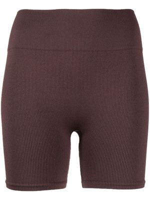 PRISM² short Ribbed Composed à coupe courte - Marron