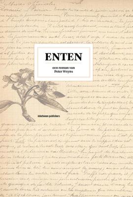 Enten (Hardback)