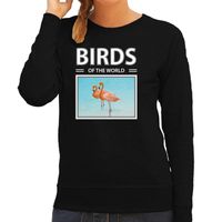 Flamingo foto sweater zwart voor dames - birds of the world cadeau trui vogel liefhebber 2XL  - - thumbnail