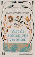 Wat de stenen ons vertellen - Clara Dupont-Monod - ebook