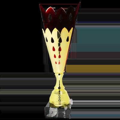 Sportprijzen Leiden Trofee Serie 45