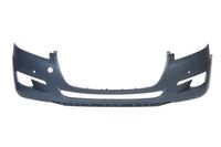 Bumper 5510005527900P