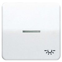 CD 590 KO5L PT  - Cover plate for switch/push button CD 590 KO5L PT