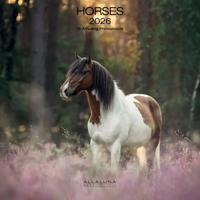 Paarden Kalender 2026